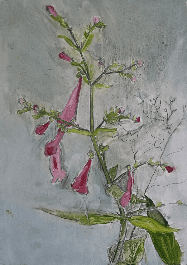 Pink Bell